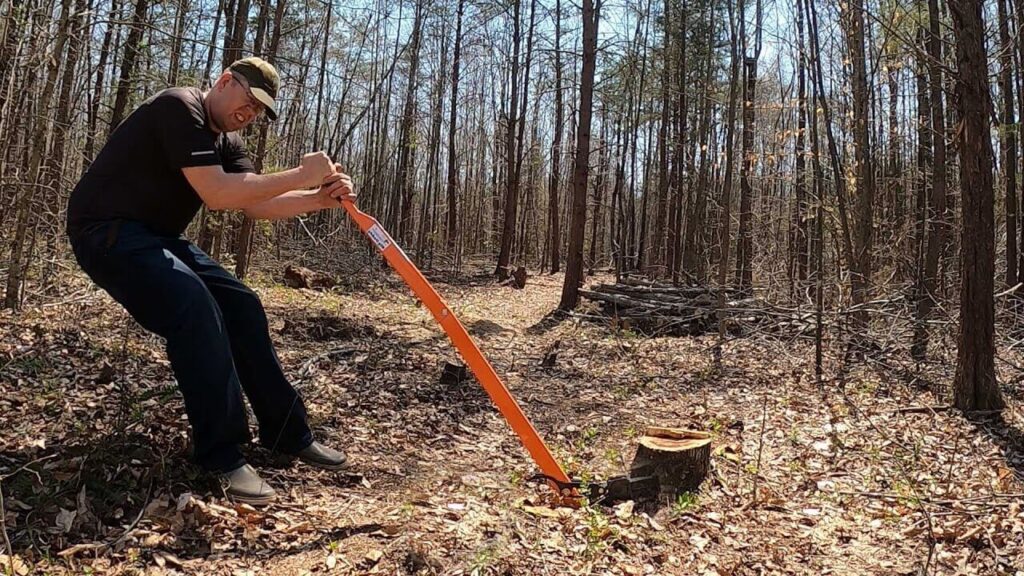 Stump Grinding vs. Stump Removal