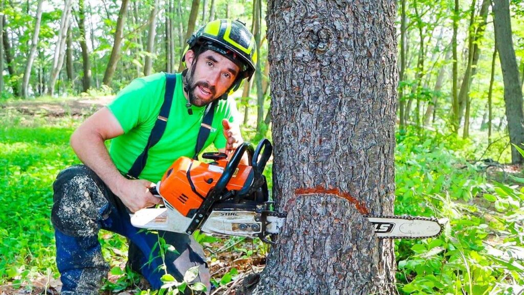 Tree Loppers Near Me