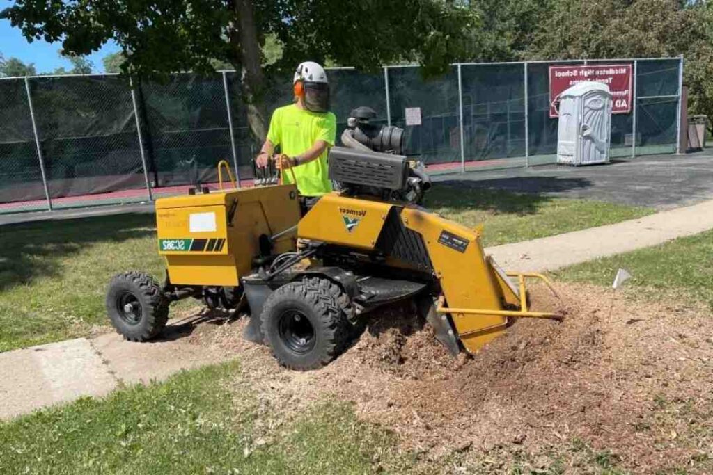 Professional Tree Lopping Services Near Me: Safe, Fast, and Affordable Solutions