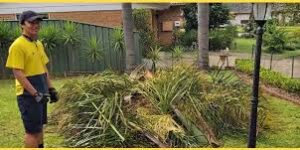 Fast and Affordable Green Waste Pickup Solutions for Sydney Homes