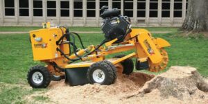 Top 5 Benefits of Professional Tree Removal Sydney Services