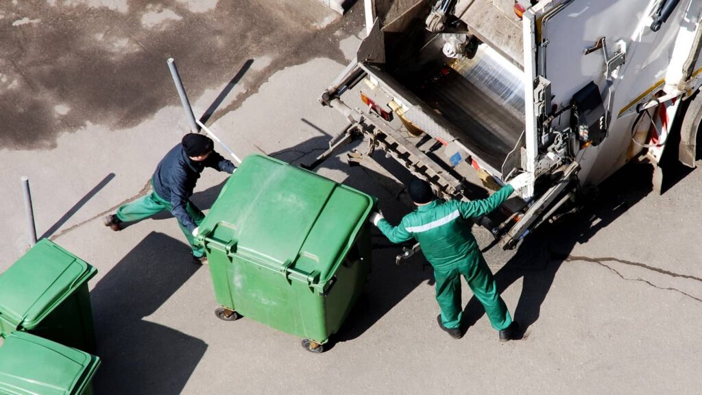 Green Waste Removal Sydney: Rules, Costs and Where Your Garden Waste Ends Up