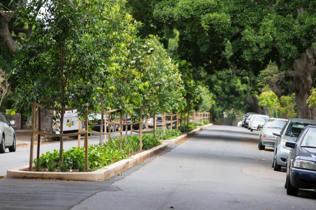 Tree Lopping Sydney: What It Really Means and When You Should Avoid It

