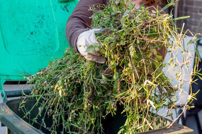 Green Waste Removal Sydney: Rules, Costs and Where Your Garden Waste Ends Up