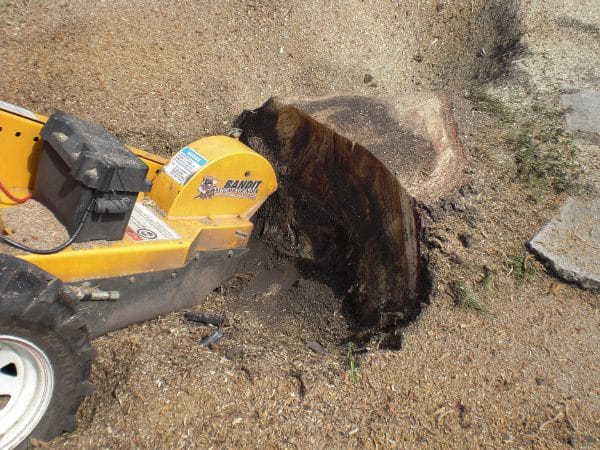 Sydney Stump Grinding